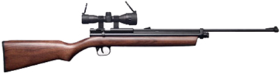 Crosman 1760SE, Image 1