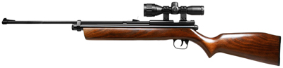 Crosman 2260SE