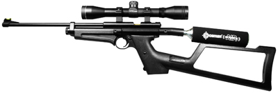 Crosman 2250XT, Image 1