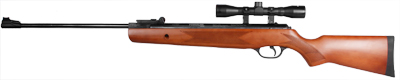 Daisy Powerline 1000WS air rifle