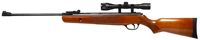 Winchester 1028 Air Rifle Combo