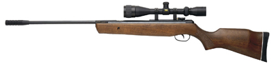 Gamo Hunter 890S