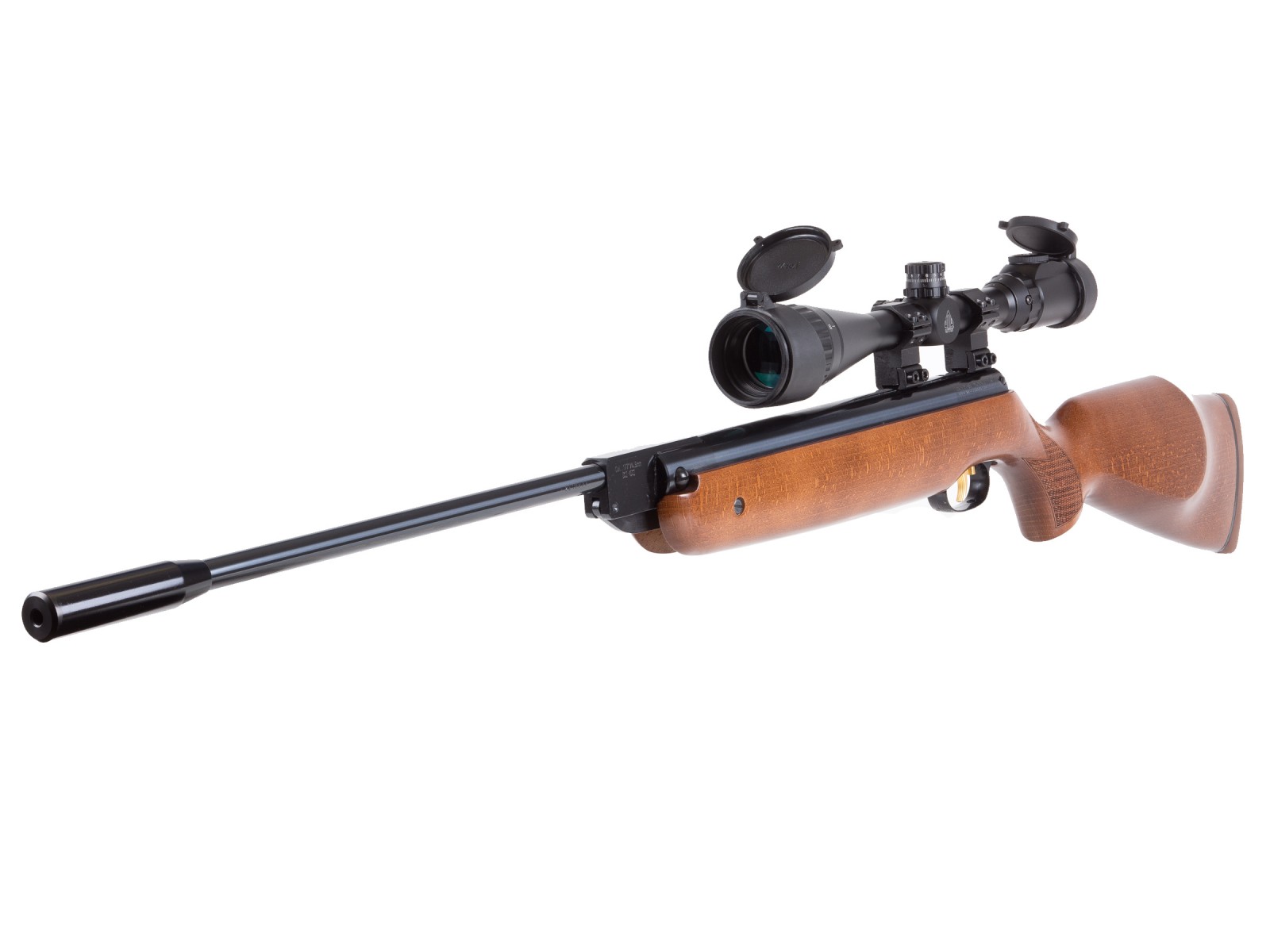 Beeman R1 Elite, Image 1