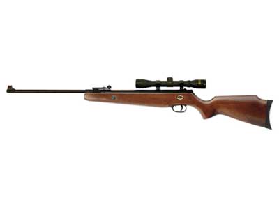 Beeman Teton Gas Ram Air Rifle