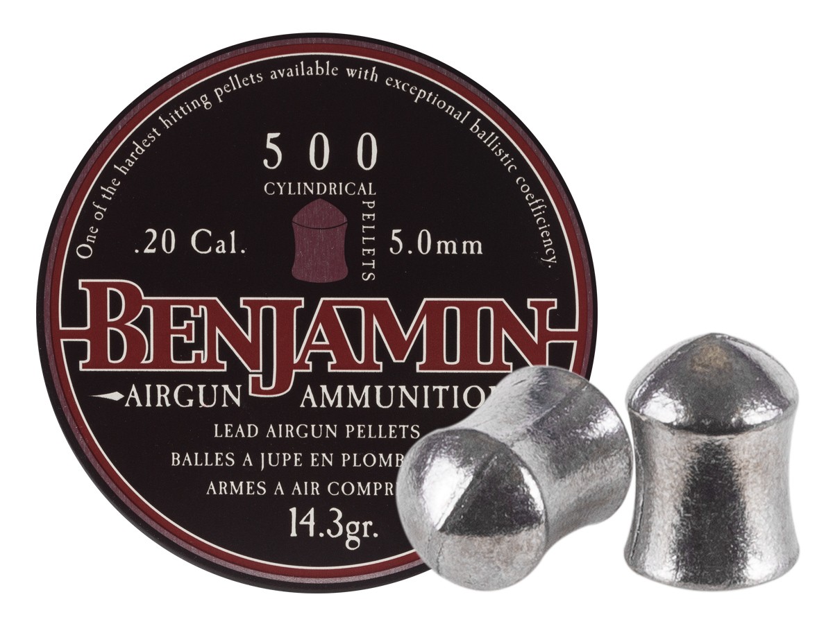 Benjamin Cylindrical .20, Image 1