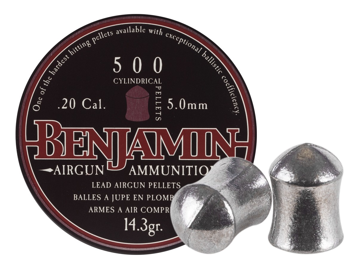 Benjamin Cylindrical .20 Cal, 14.3 Grains, Pointed, 500ct