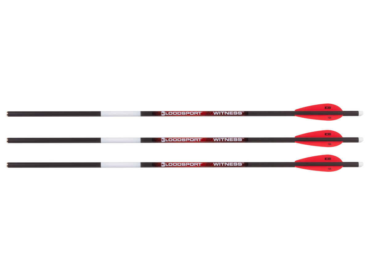 Bloodsport Witness 22", Image 1
