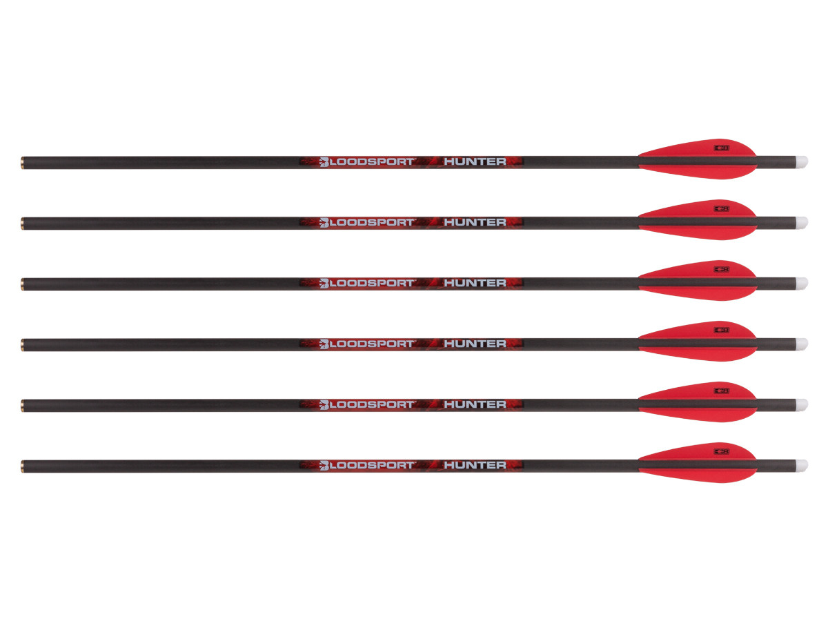 Bloodsport Hunter 20" Crossbow Bolt, 6 Pack