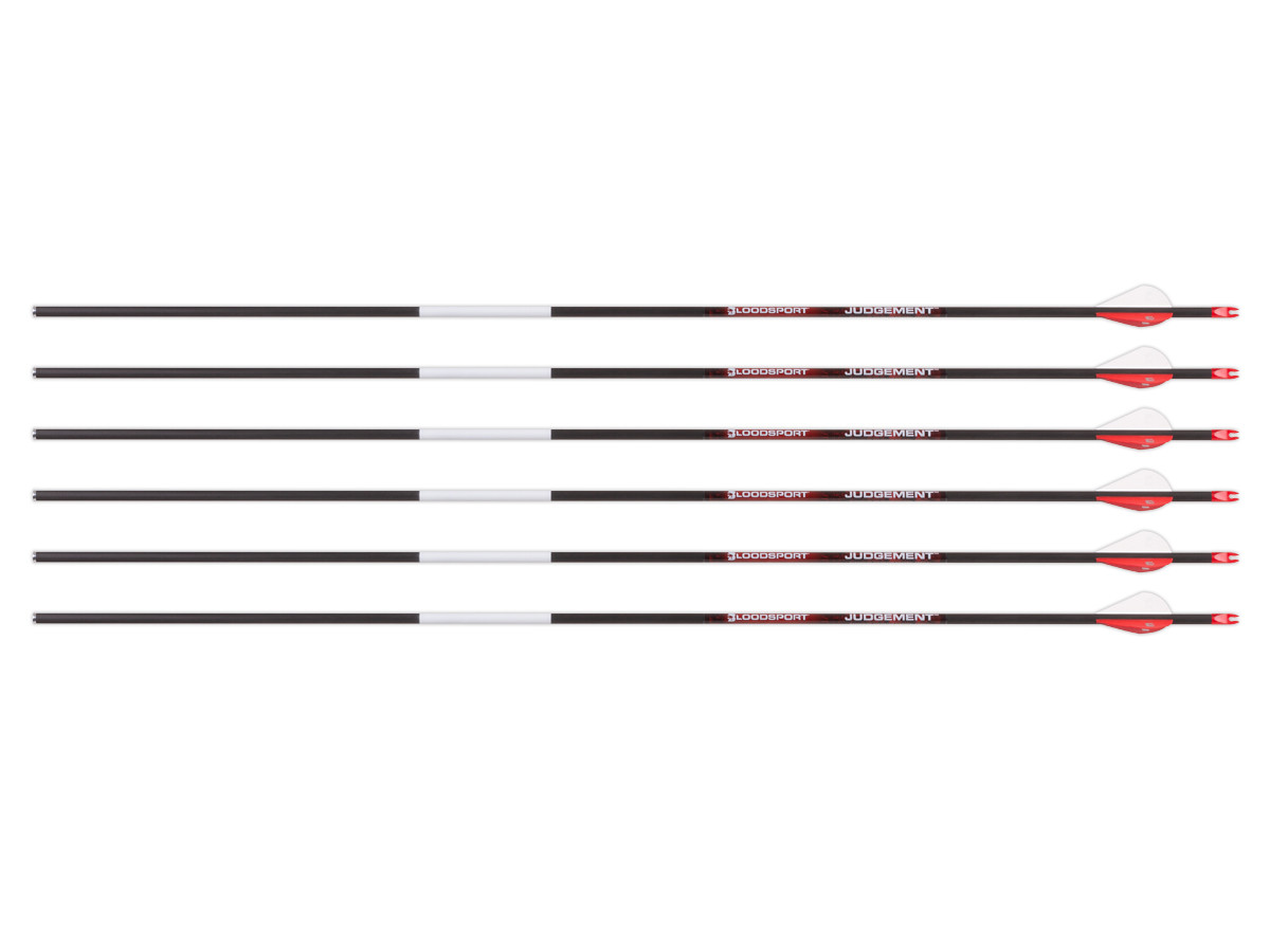 Bloodsport Judgement Arrow,, Image 1