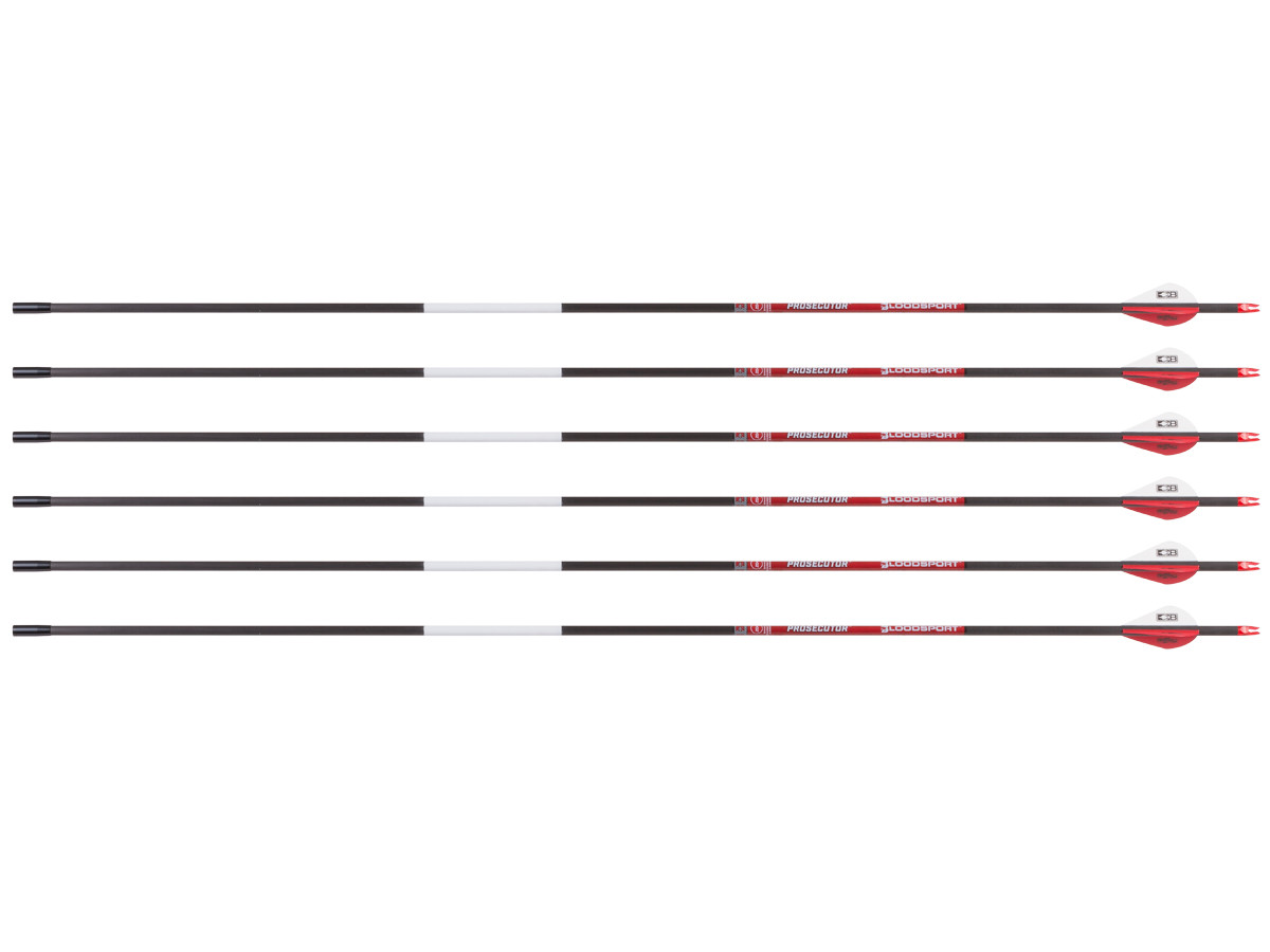Bloodsport Prosecutor Arrow,, Image 1