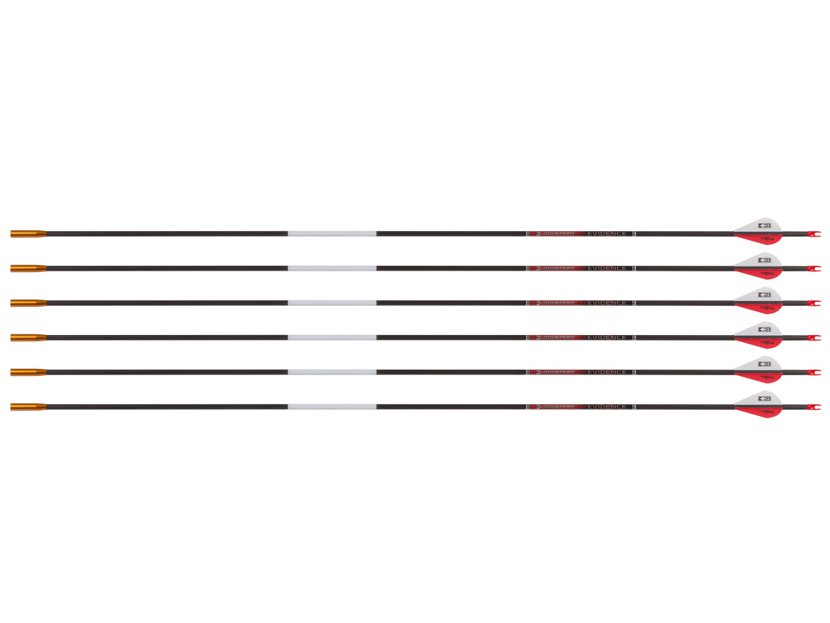 Bloodsport Evidence Arrow,, Image 1