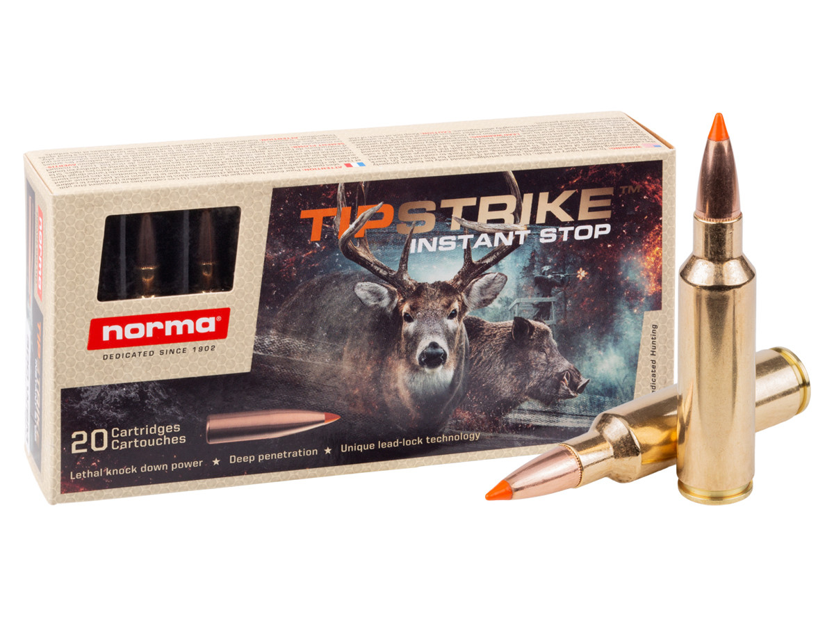 Norma .300 Winchester, Image 1