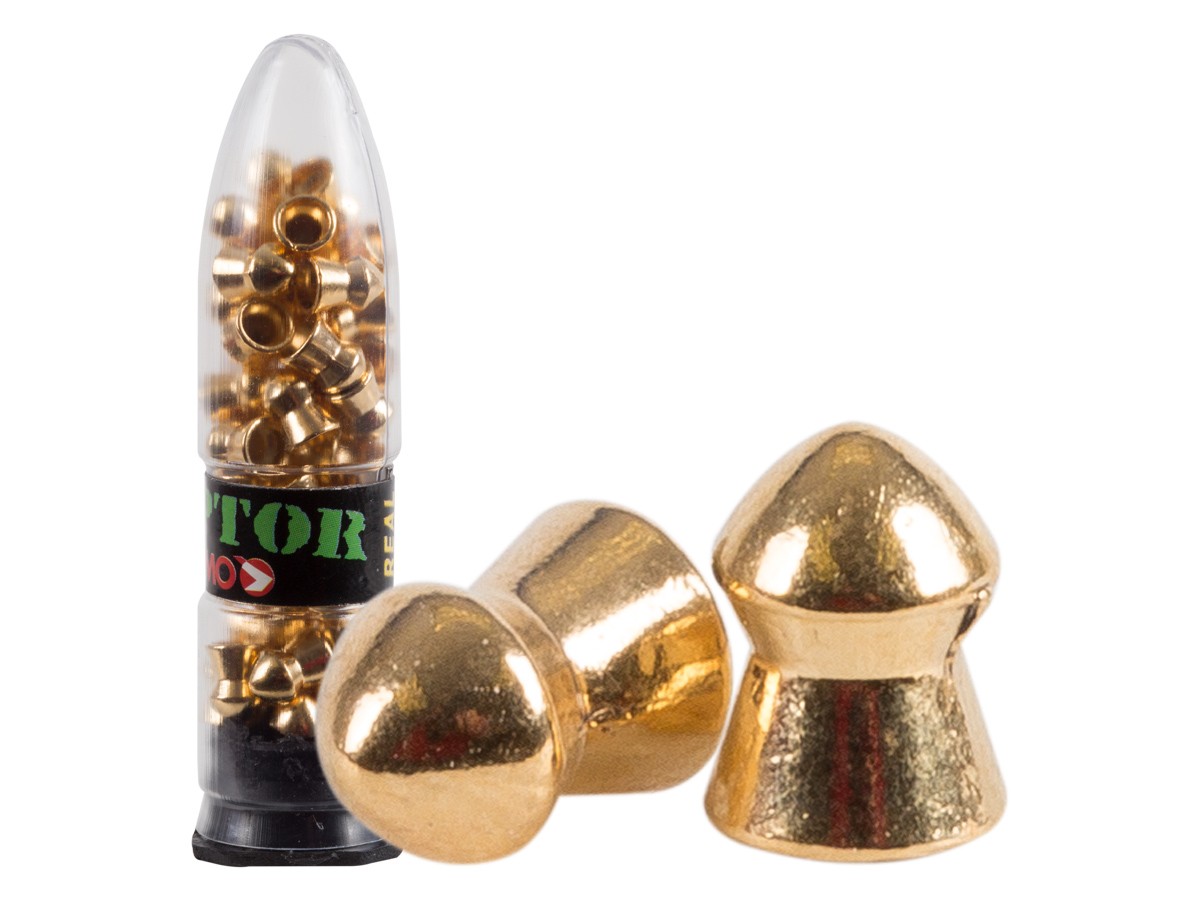 Gamo Raptor .22, Image 1