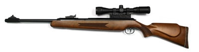 Diana RWS 52, Image 1