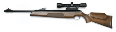 Diana RWS 54, Image 1