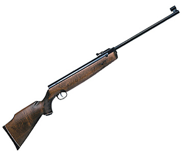 Beeman R1 Supermagnum, Image 1