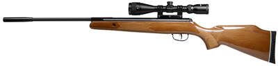 Remington Summit Combo Air Rifle