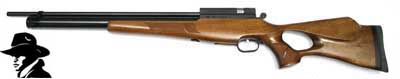 Evanix Renegade Rifle,, Image 1