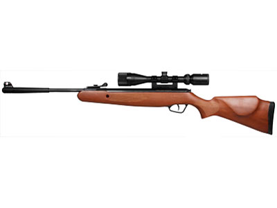 Stoeger Arms X20 Wood Breakbarrel Air Rifle Combo