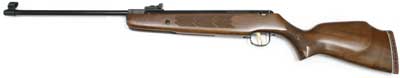 Webley Stingray