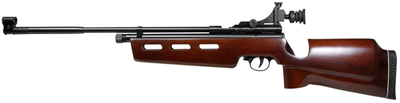 Tech Force TF79 Competition Rifle