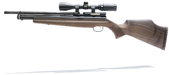 Webley Raider, Image 1