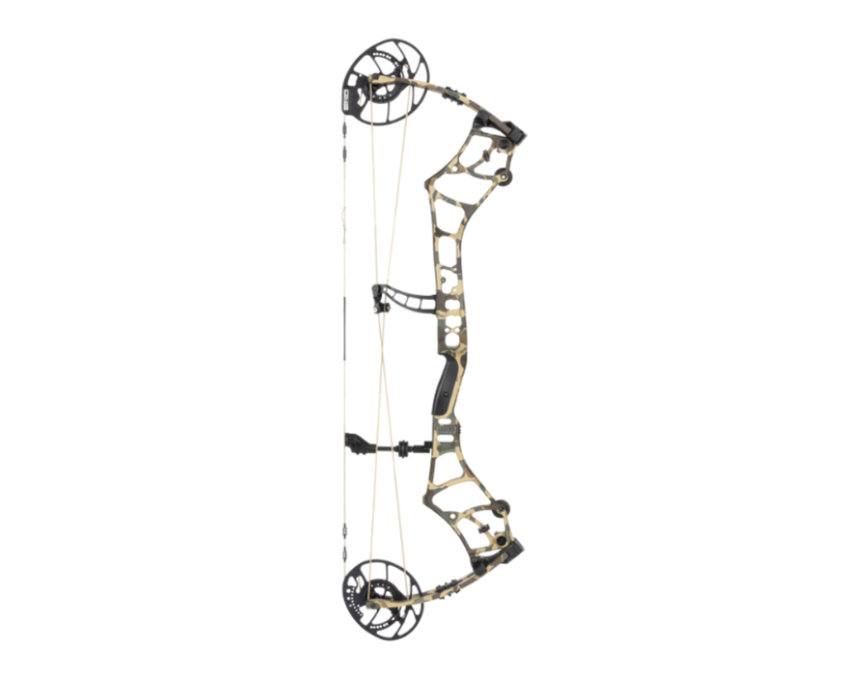 Bear Species EV, Image 1