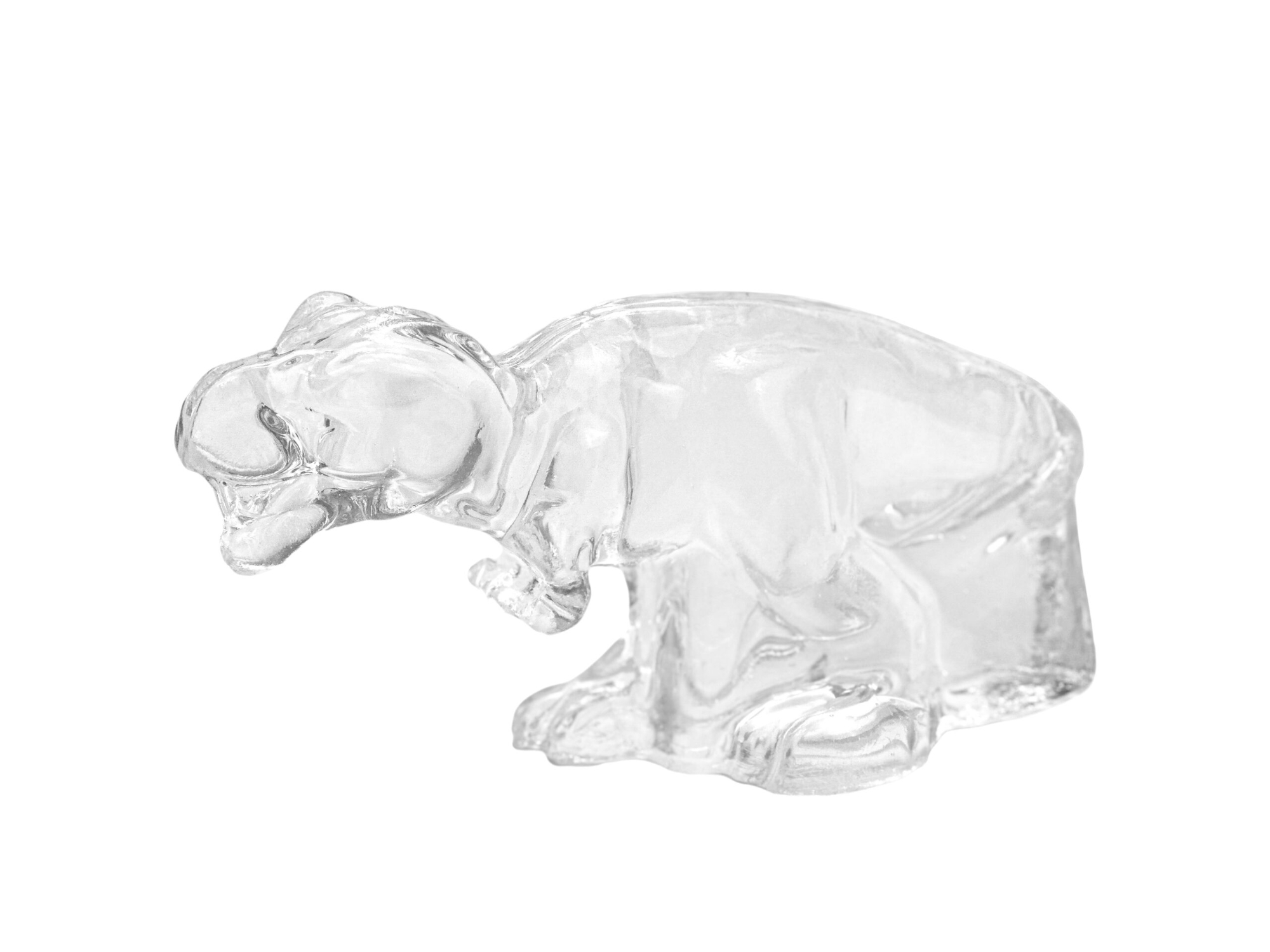 Clear Ballistic Gel T-Rex 3-D Target