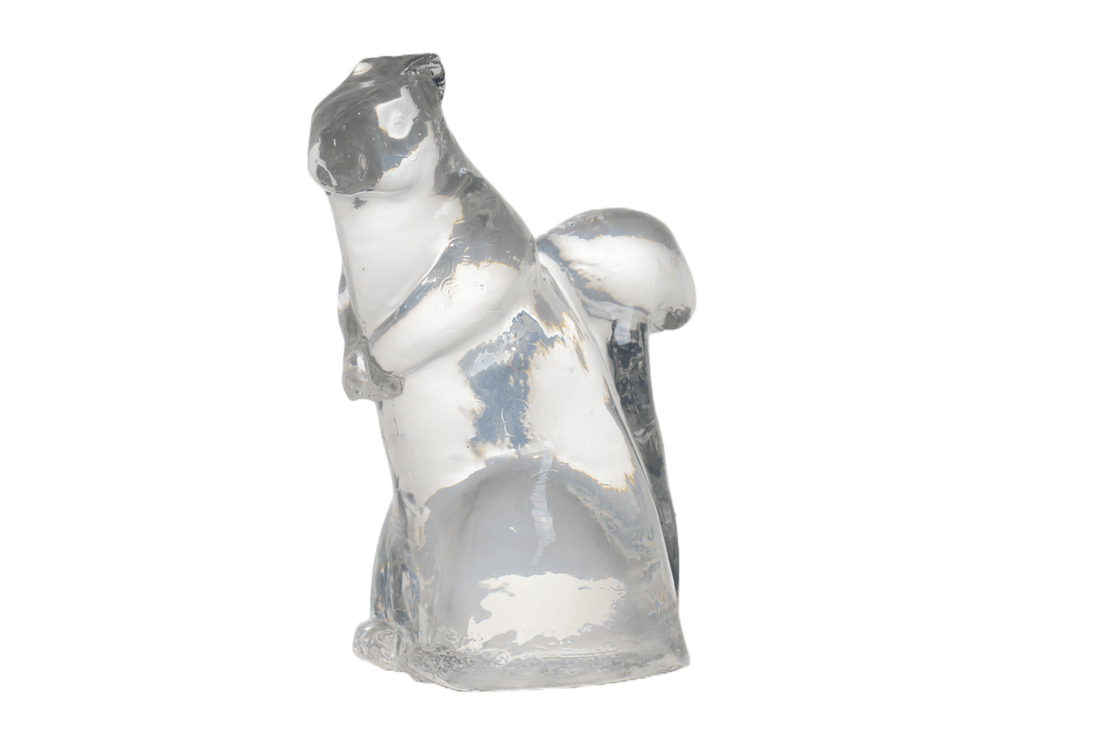 Clear Ballistic Gel Squirrel 3-D Target