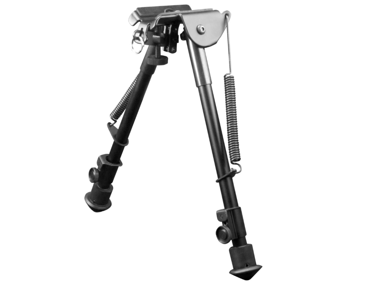 AIM Style Spring, Image 1