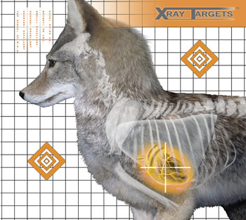 Champion X-Ray Paper Targets, Coyote, 18.75x16.75 - 6pk