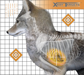 Champion X-Ray Paper, Image 1