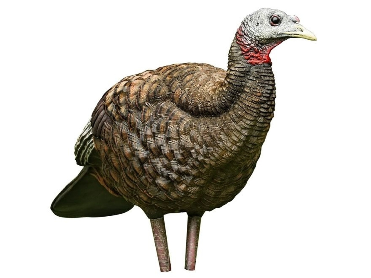 Avian-X LCD Breeder, Image 1
