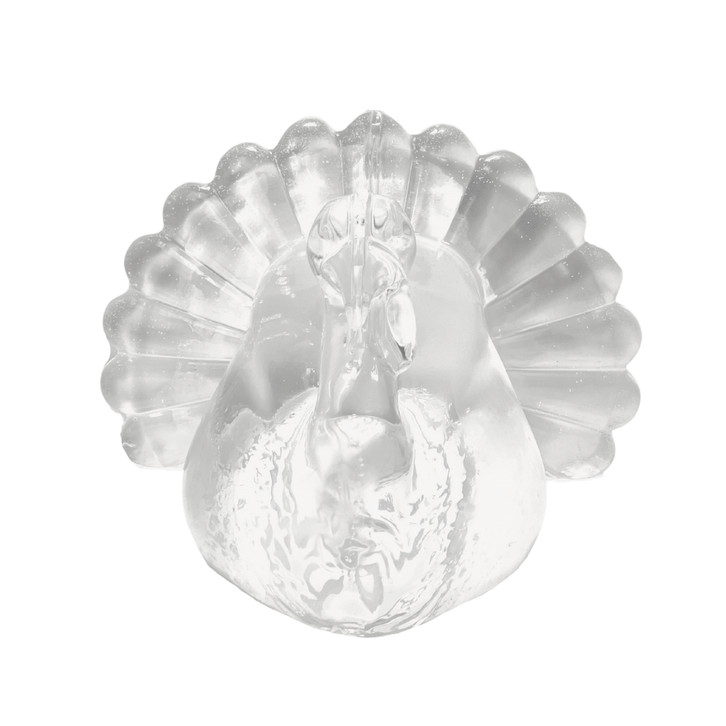 Clear Ballistic Gel Turkey 3-D Target