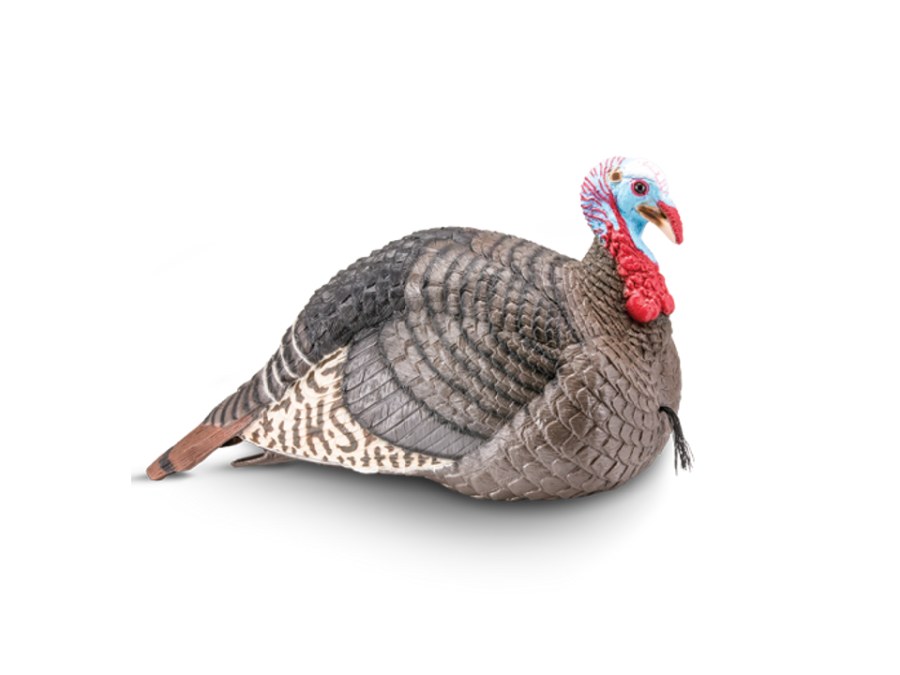 Hunters Specialties Strut, Image 1
