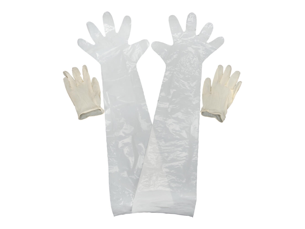 Allen Field Dressing Gloves, 2-Pack, Clear