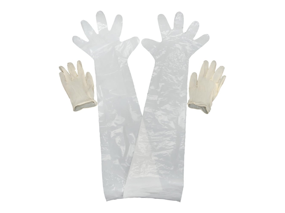 Allen Field Dressing, Image 1