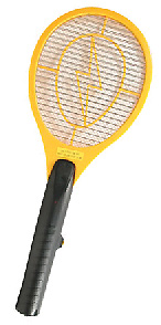 electronic insect toy