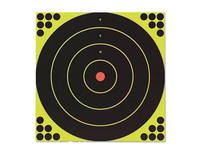 Birchwood Casey Shoot-N-C Bullseye Targets, 12", 5 Targets + 120 Pasters