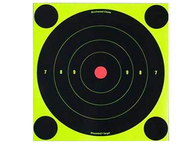 Birchwood Casey Shoot-N-C Targets, 8" Bullseye, 30 Targets + 120 Pasters