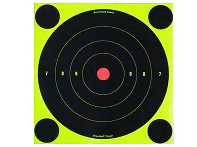 Birchwood Casey Shoot-N-C Targets, 8 Bullseye, 30 Targets + 120 Pasters