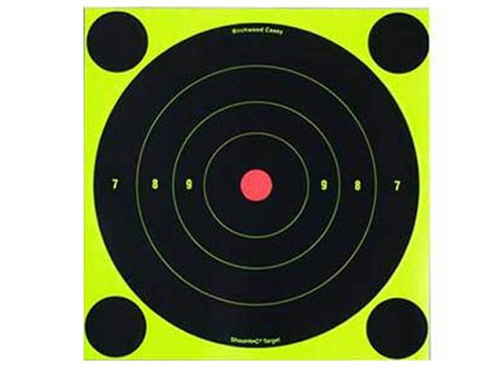 Birchwood Casey Shoot-N-C Targets, 8" Bullseye, 6 Targets + 24 Pasters