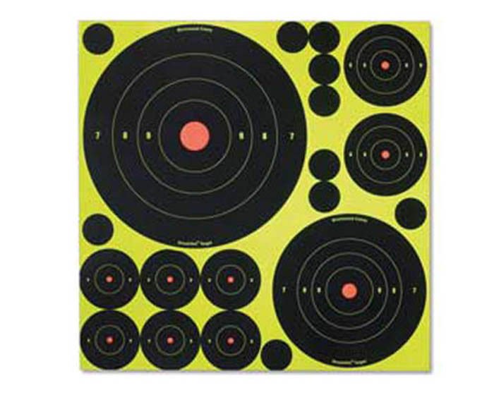 Birchwood Casey Shoot-N-C Variety Pack, 50 Bullseye Targets + 50 Pasters