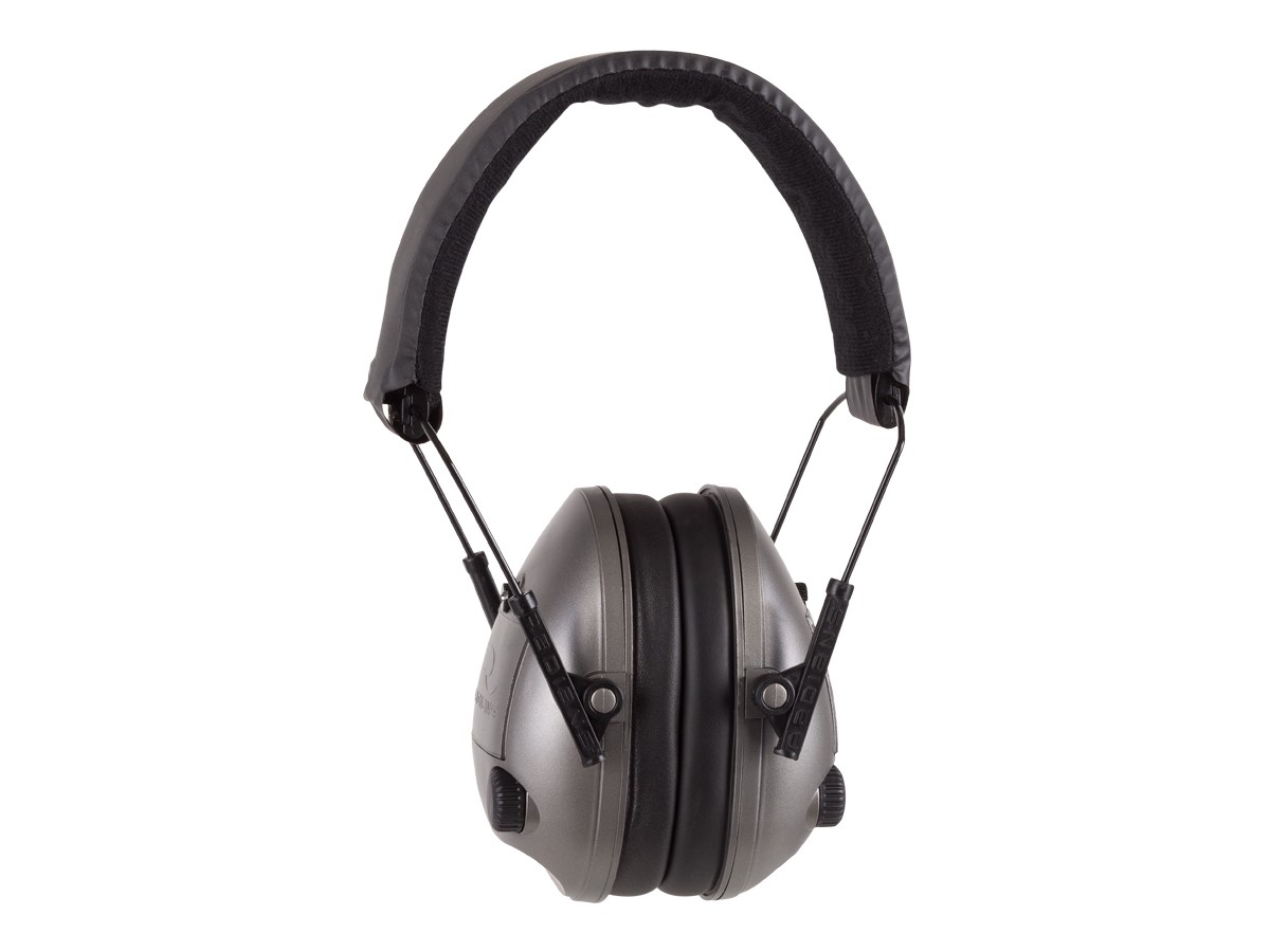 Radians Pro-Amp Electronic, Image 1