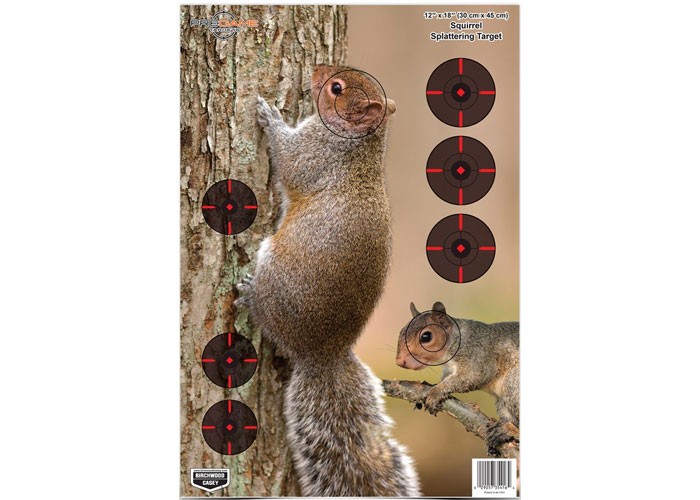 Birchwood Casey Pregame Squirrel Target, 12"x18", 8ct