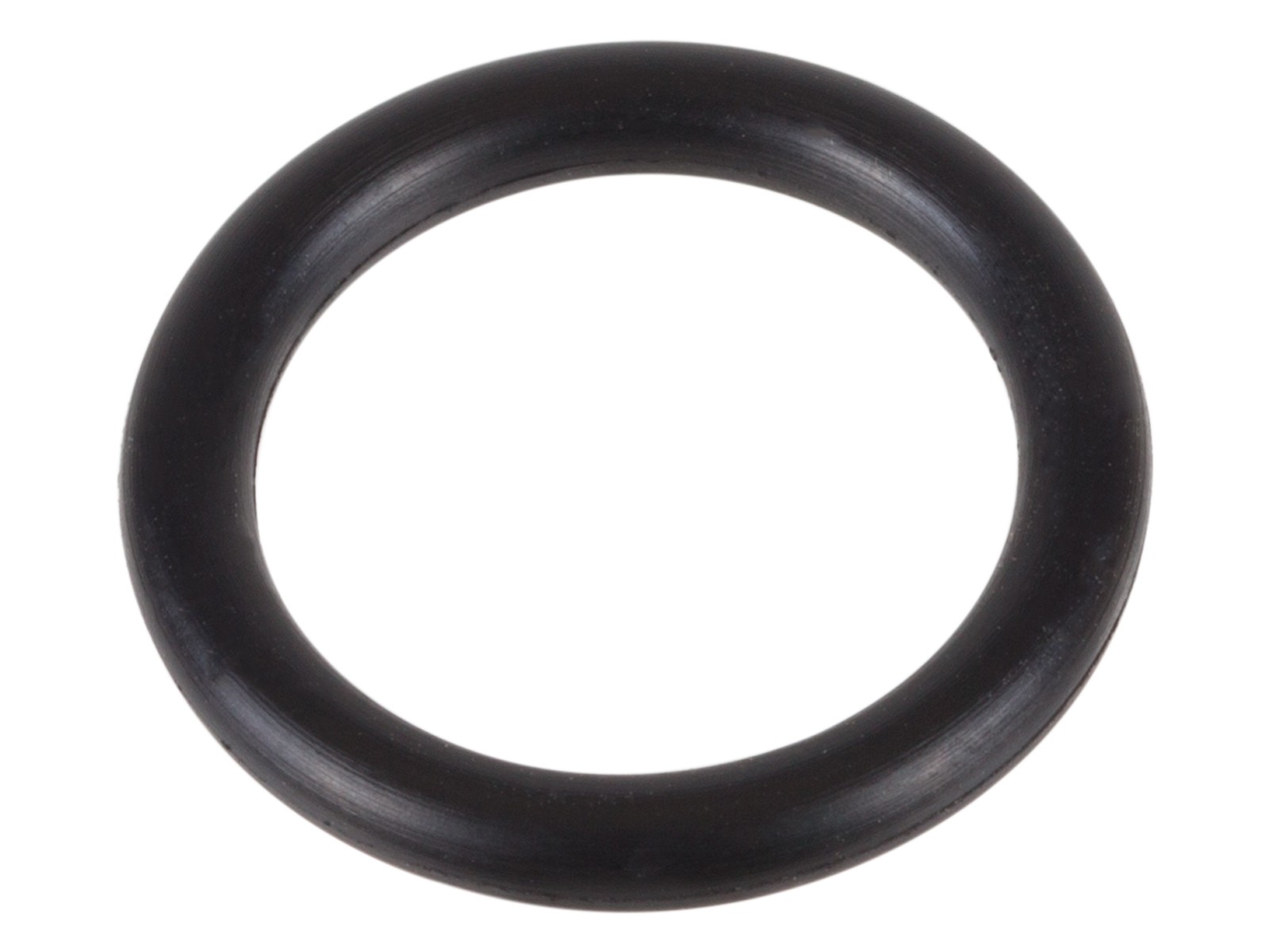 Pump Piston O-Ring, Image 1