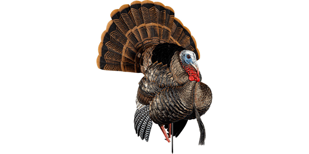 Avian-X HDR Strutter, Image 1