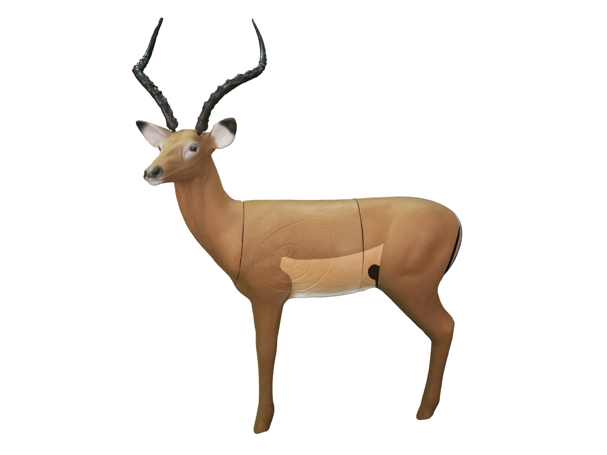Real Wild 3D African Impala