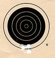 Whisper target with Gamo Match pellets