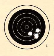 Whisper target with H&N Match pellets